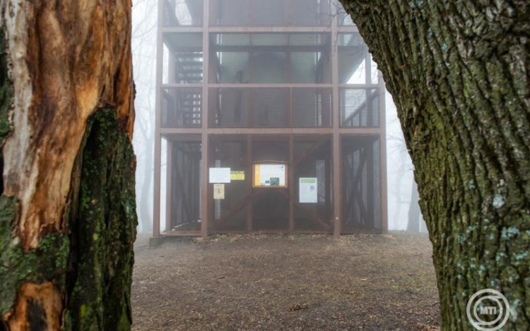 A mecseki Zengőn álló építmény lett az Év kilátója 2025-ben