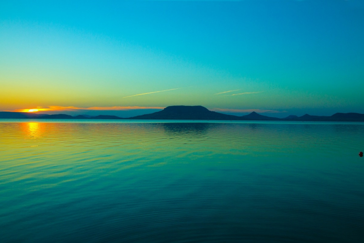 Algásodik a Balatonban