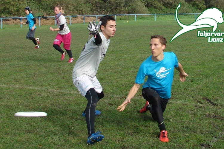 Minden bajnokságot megnyert a Lionz Juniors